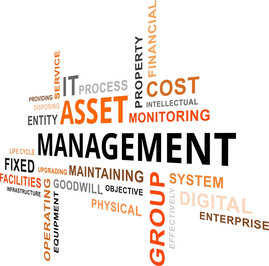 Asset Management Software